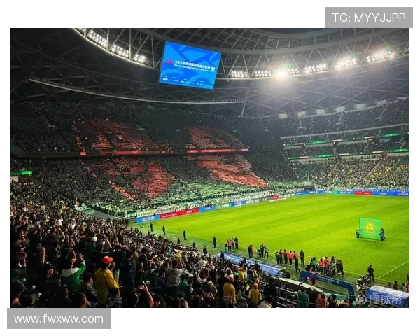 张玉宁晒工体TIFO照感恩致谢铭记球迷支持 张玉宁晒工体TIFO照感恩致谢铭记球迷支持