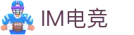 IM（股份有限公司）电竞-电子竞技平台